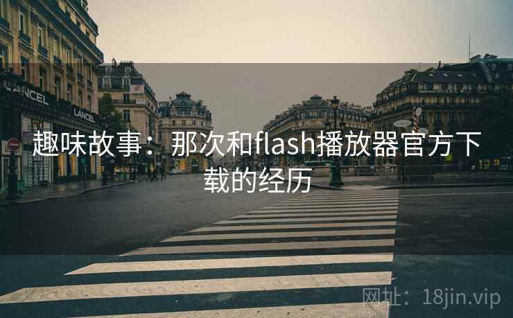 趣味故事：那次和flash播放器官方下载的经历  第2张