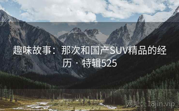 趣味故事：那次和国产SUV精品的经历 · 特辑525